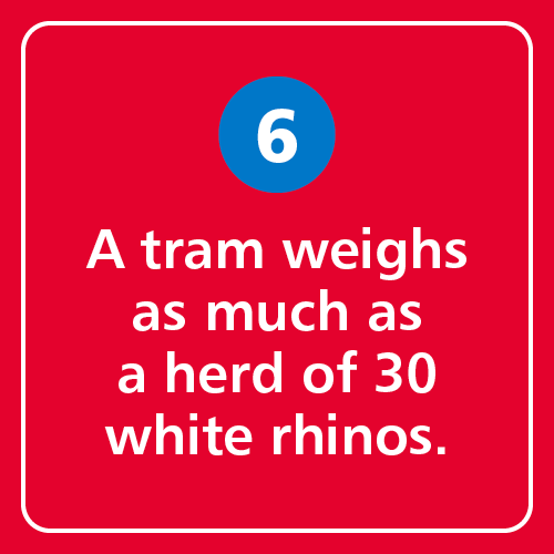 A tram weighs as much as a herd of 30 white rhinos.