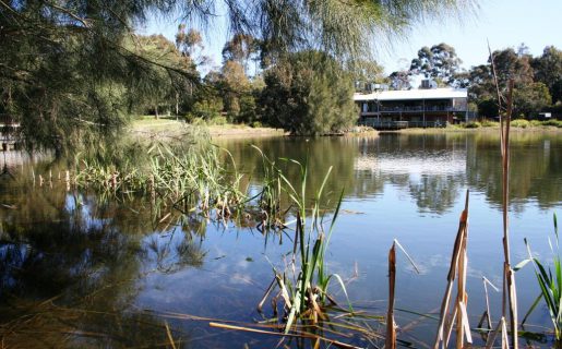 Hunter Wetlands Centre Main building view accross BHP Pond